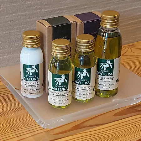 Hotel Active La Torre 4*