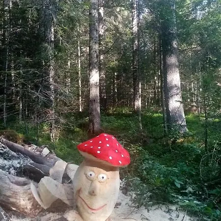 Active La Torre 4* Padola