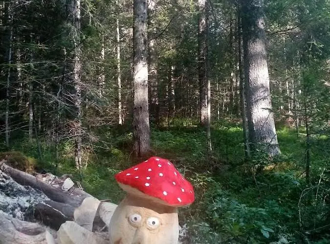 Active La Torre 4* Падола